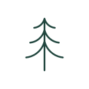 pine 2